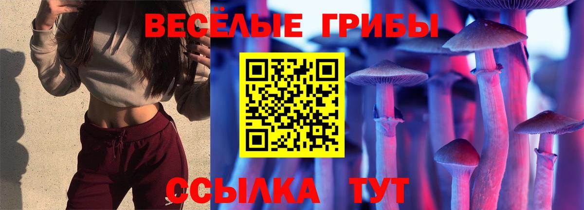 Кызыл  Галлюциногенные грибы Psilocybine cubensis  Галлюциногенные грибы прущие грибы  Вход с VPN 